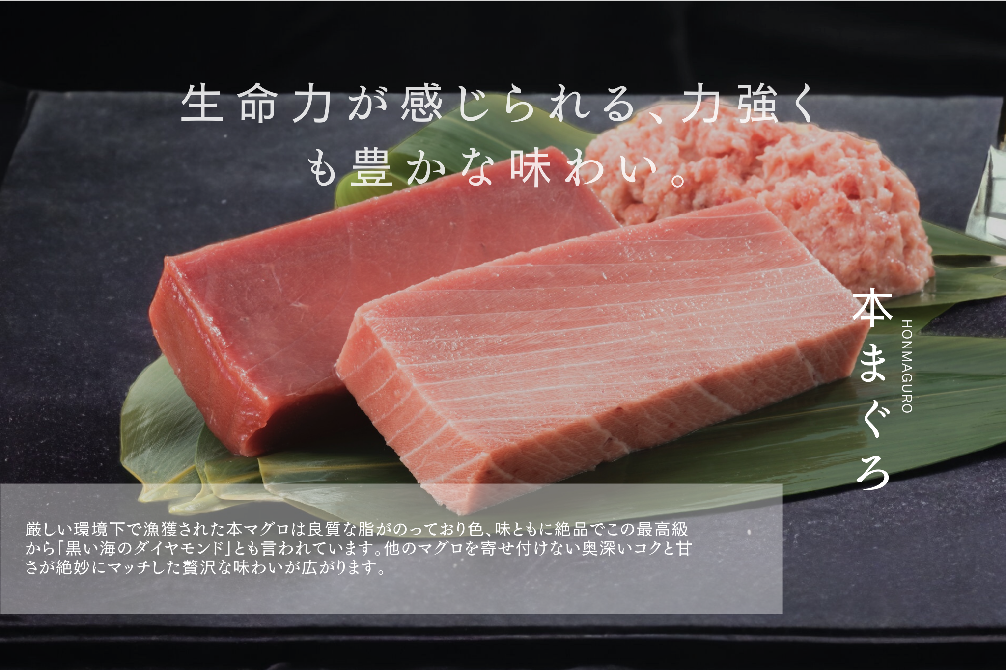 食べ比べセット | まぐろの濱幸